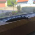 Mô hình ốc sên khớp nối linh hoạt 3D (Articulated Slug) - Thumbnail 2