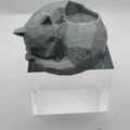 Đế D20 Low Poly – Dice Guardians (Mèo, Cáo, Chó, Đầu Lâu) DnD - Thumbnail 3
