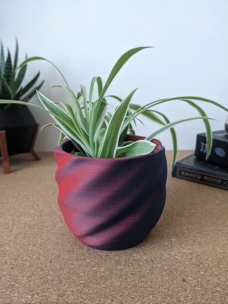 Chậu sen đá xoắn hiện đại cỡ nhỏ - Image 1