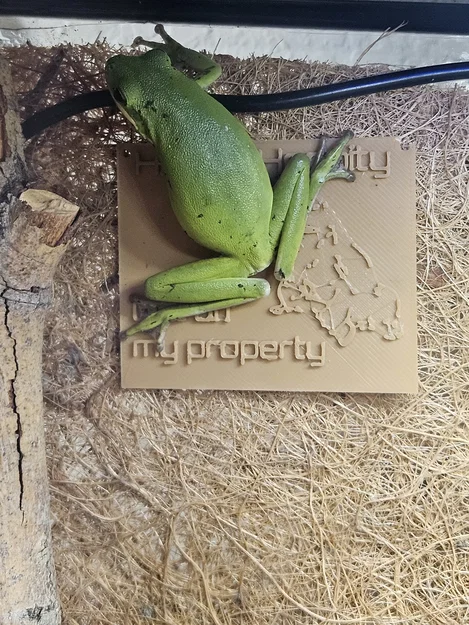 Bảng hiệu 3D hài hước: Chú ếch bảo vệ lãnh thổ (Frog Sign) - Image 2