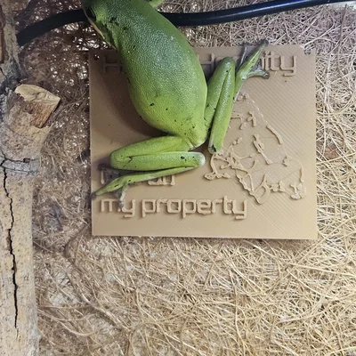 Bảng hiệu 3D hài hước: Chú ếch bảo vệ lãnh thổ (Frog Sign)