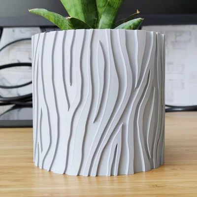 Chậu cây ngựa vằn (Zebra) & planter – thiết kế vase mode