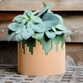 Chậu cây cảnh 3D phối hai màu (Dual colored pot) độc đáo - Thumbnail 1