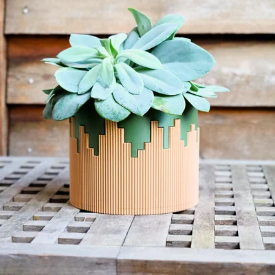 Chậu cây cảnh 3D phối hai màu (Dual colored pot) độc đáo
