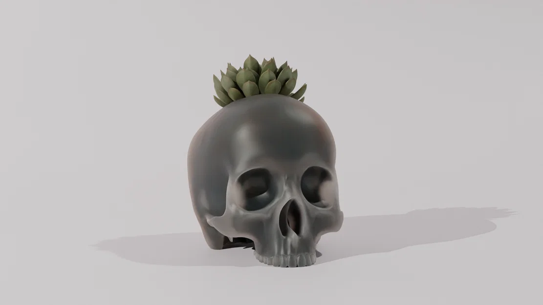 Chậu cây hình đầu lâu - Skull Pot Plant trang trí nhà cửa độc lạ - Image 1