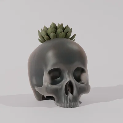 Chậu cây hình đầu lâu - Skull Pot Plant trang trí nhà cửa độc lạ