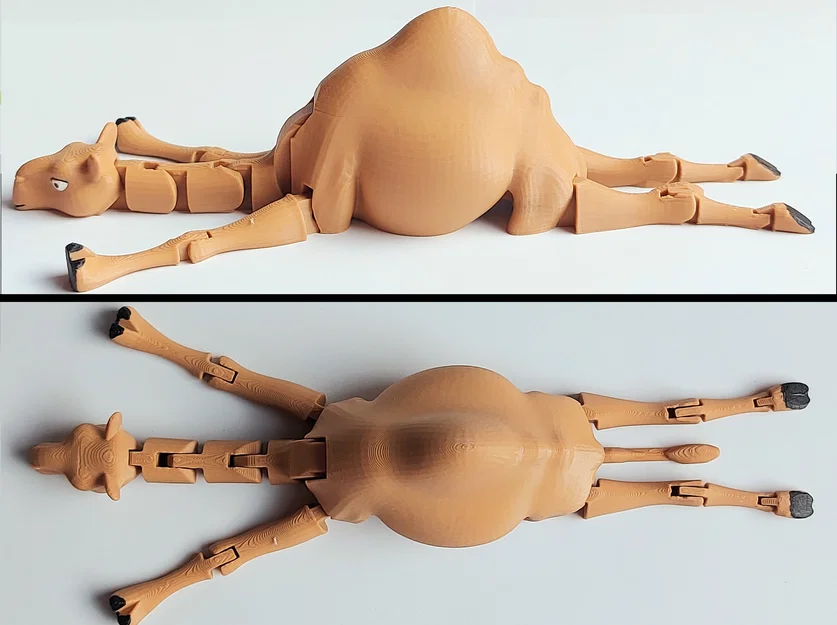 Lạc đà khớp nối (Print-in-Place) - Image 3