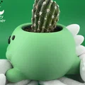 Chậu Cây Rồng (Dragon Planter) Dễ Thương - Thumbnail 4