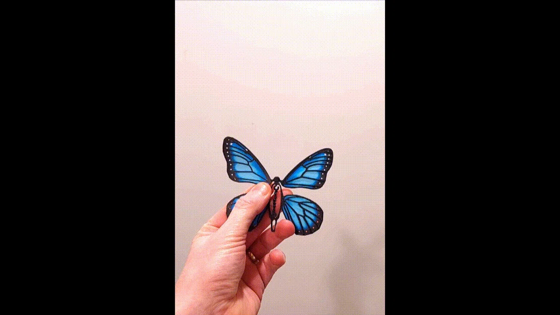 Đồ chơi bất ngờ bươm bướm bật bằng dây thun (Rubber Band Butterfly Surprise Toy) - Image 1