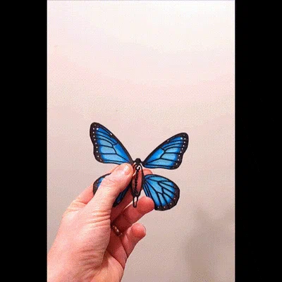 Đồ chơi bất ngờ bươm bướm bật bằng dây thun (Rubber Band Butterfly Surprise Toy)