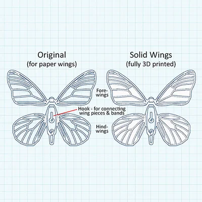 Đồ chơi bất ngờ bươm bướm bật bằng dây thun (Rubber Band Butterfly Surprise Toy)