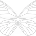 Đồ chơi bất ngờ bươm bướm bật bằng dây thun (Rubber Band Butterfly Surprise Toy) - Thumbnail 6
