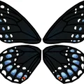 Đồ chơi bất ngờ bươm bướm bật bằng dây thun (Rubber Band Butterfly Surprise Toy) - Thumbnail 8