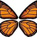 Đồ chơi bất ngờ bươm bướm bật bằng dây thun (Rubber Band Butterfly Surprise Toy) - Thumbnail 10
