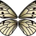 Đồ chơi bất ngờ bươm bướm bật bằng dây thun (Rubber Band Butterfly Surprise Toy) - Thumbnail 12