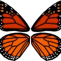 Đồ chơi bất ngờ bươm bướm bật bằng dây thun (Rubber Band Butterfly Surprise Toy) - Thumbnail 13