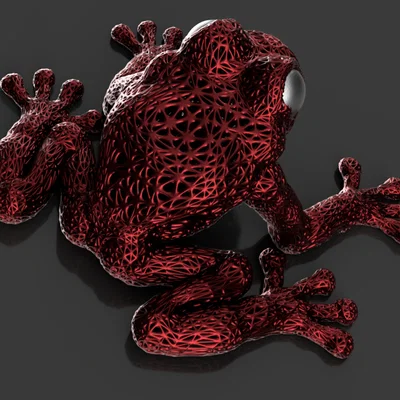 Mô hình ếch cấu trúc Lattice frog