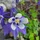 Gareth42_280557