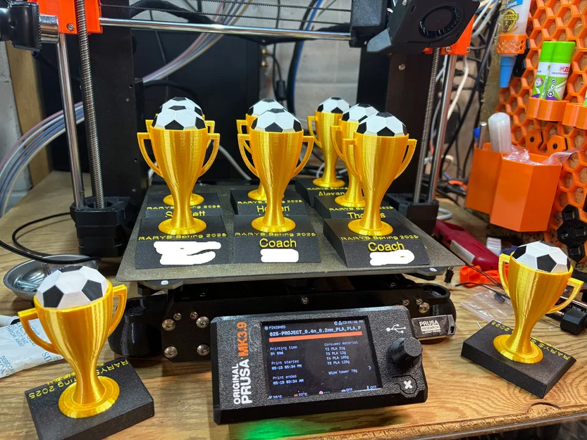 Cúp bóng đá multicolor MMU - Image 1