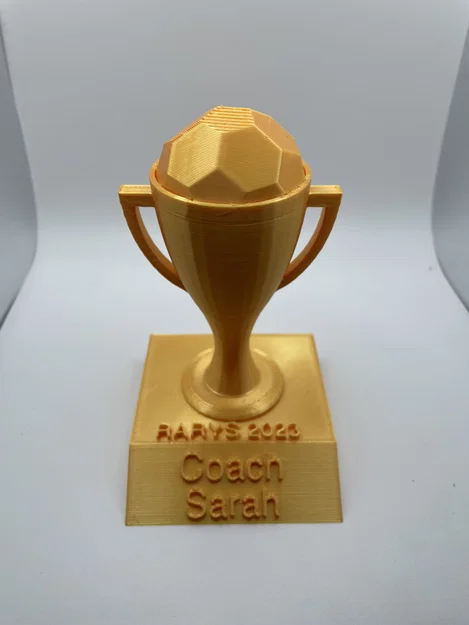 Cúp bóng đá multicolor MMU - Image 2