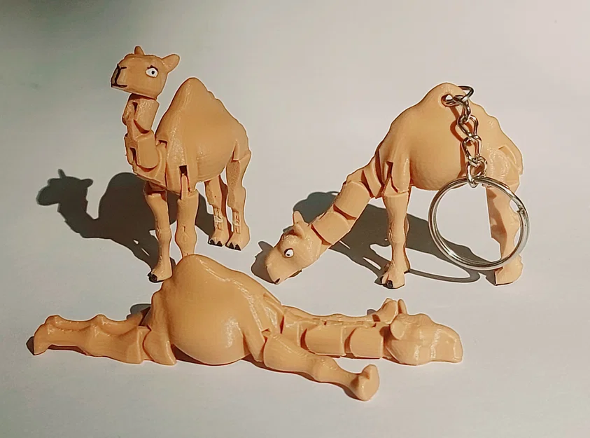 Lạc Đà Con (Print-in-Place) - Image 2