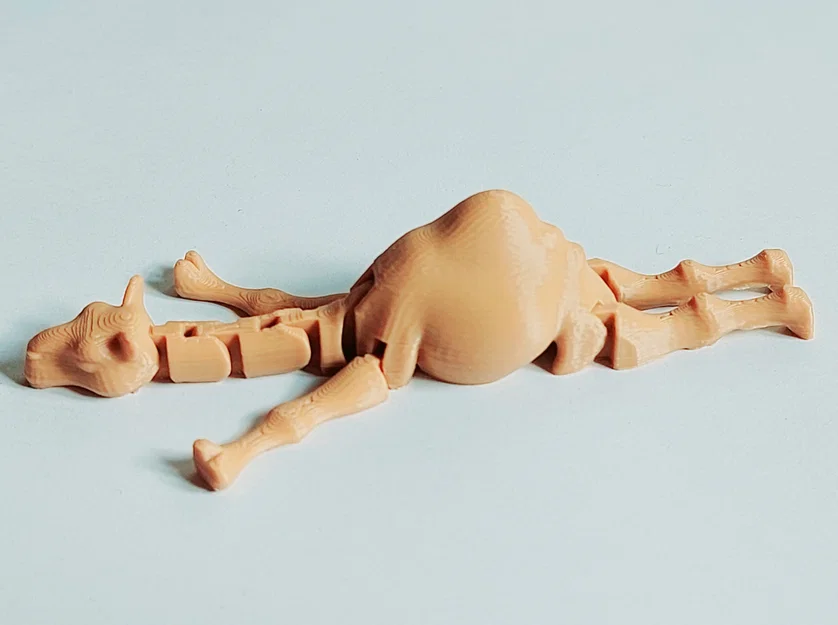 Lạc Đà Con (Print-in-Place) - Image 3