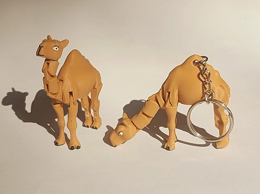 Lạc Đà Con (Print-in-Place) - Image 5