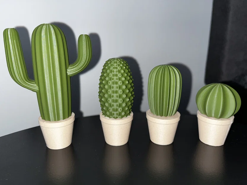 Bộ sưu tập xương rồng (Cactus set) - Image 1