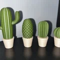 Bộ sưu tập xương rồng (Cactus set) - Thumbnail 1