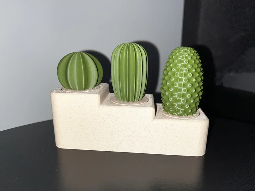 Bộ sưu tập xương rồng (Cactus set) - Image 2