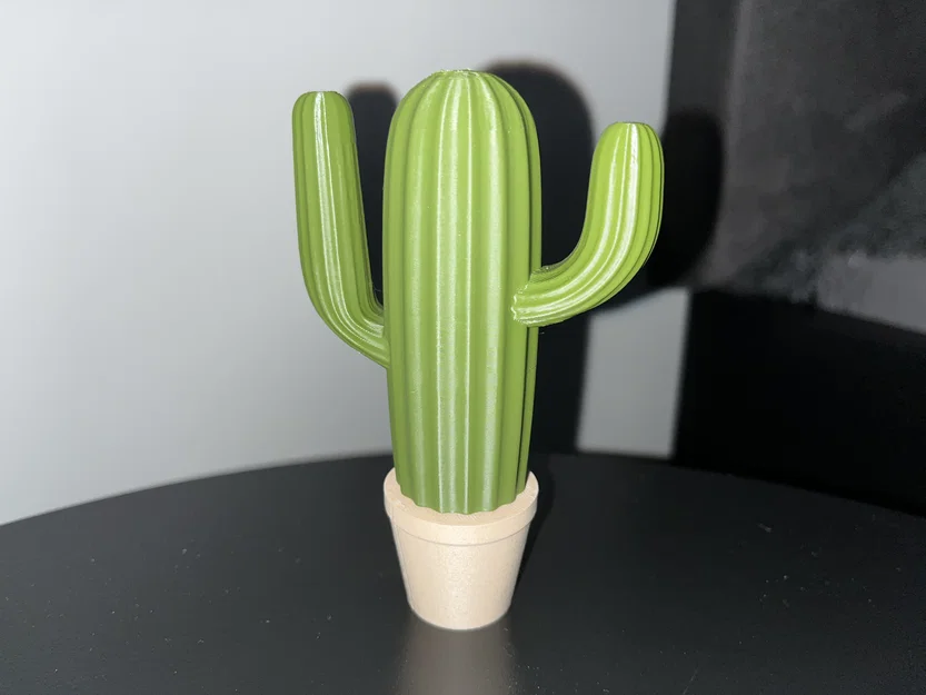Bộ sưu tập xương rồng (Cactus set) - Image 3