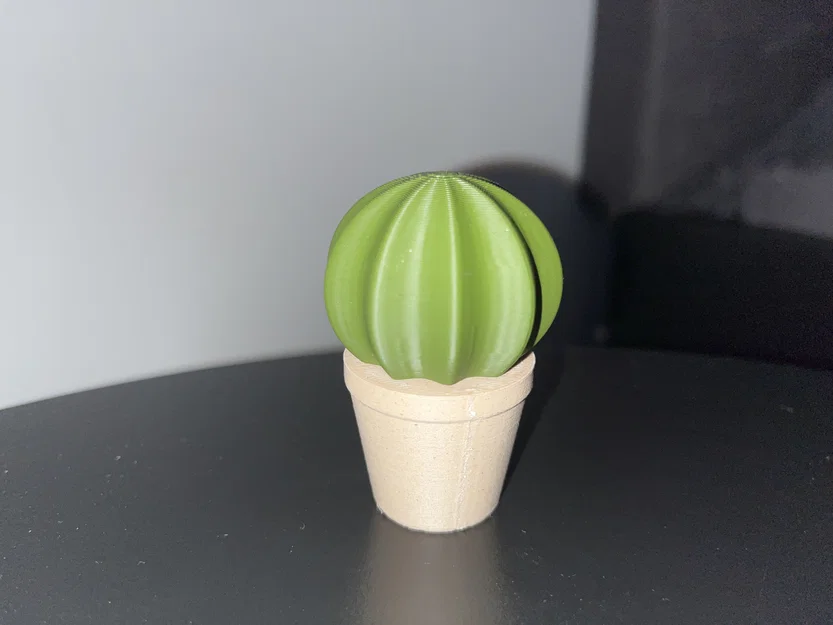 Bộ sưu tập xương rồng (Cactus set) - Image 4