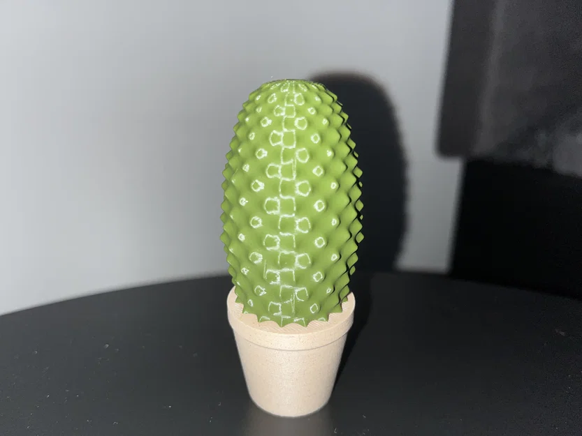 Bộ sưu tập xương rồng (Cactus set) - Image 5