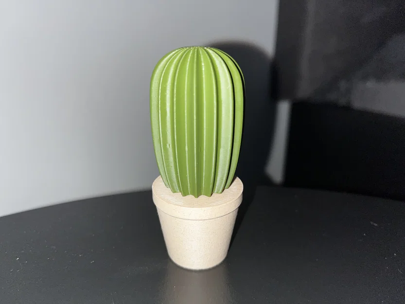 Bộ sưu tập xương rồng (Cactus set) - Image 6