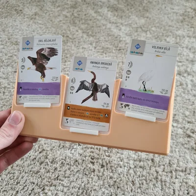 Wingspan - phụ kiện game, insert (LẮP NHANH)