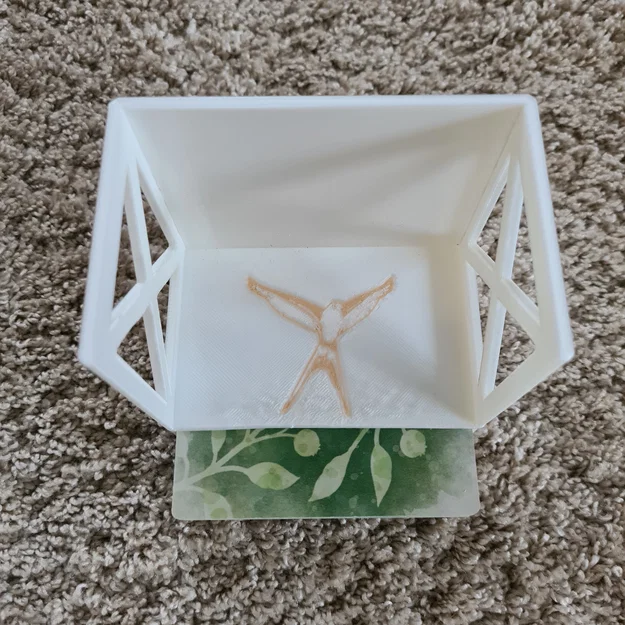 Wingspan - phụ kiện game, insert (LẮP NHANH) - Image 5