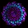 Zeciortech_3180513