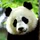 BentleyLudwi_4434348