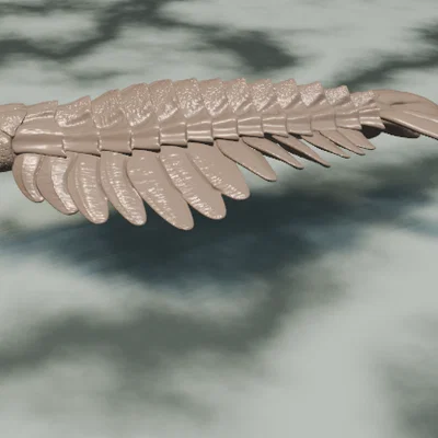 Tượng Anomalocaris (Anomalocaris sculpture)