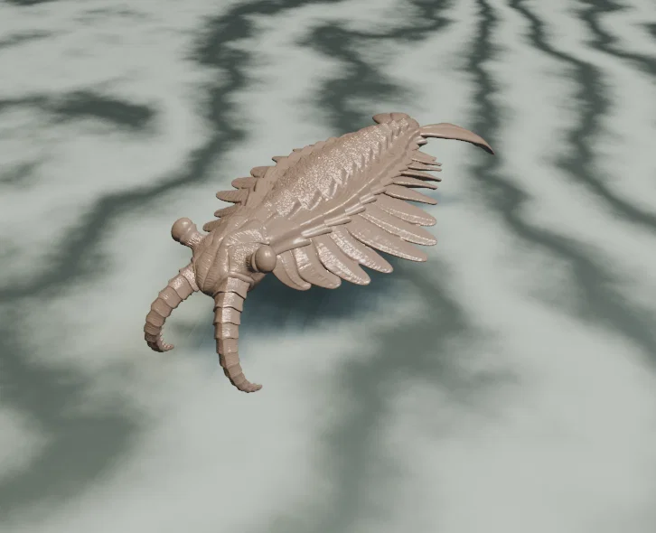 Tượng Anomalocaris (Anomalocaris sculpture) - Image 2