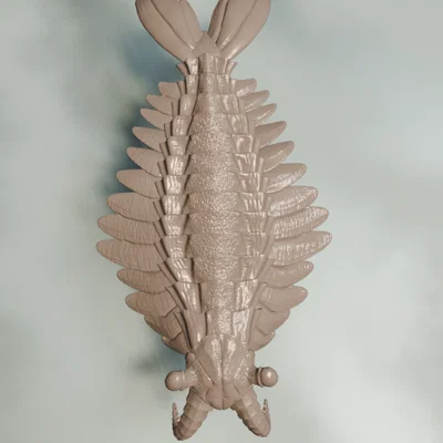 Tượng Anomalocaris (Anomalocaris sculpture)