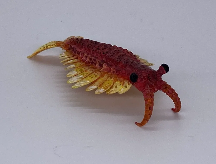 Tượng Anomalocaris (Anomalocaris sculpture) - Image 4