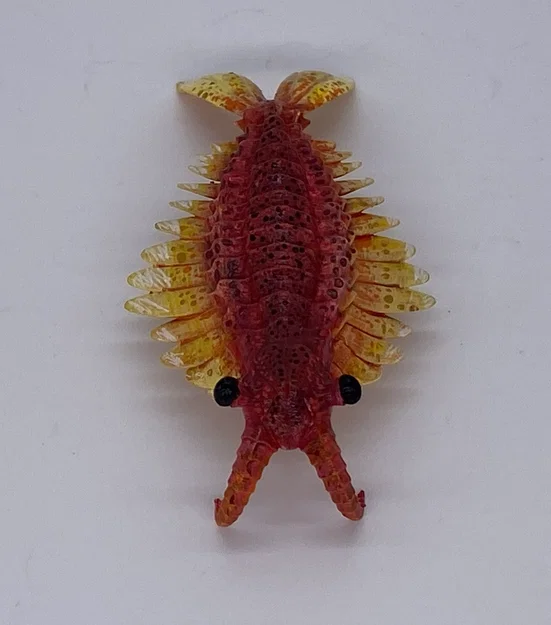 Tượng Anomalocaris (Anomalocaris sculpture) - Image 5