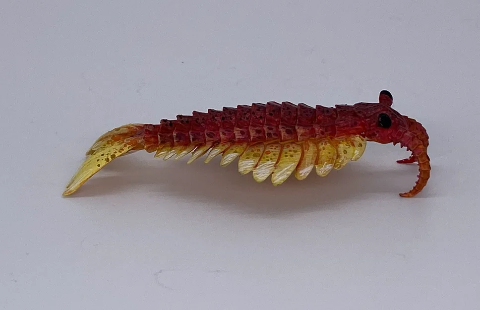 Tượng Anomalocaris (Anomalocaris sculpture) - Image 6