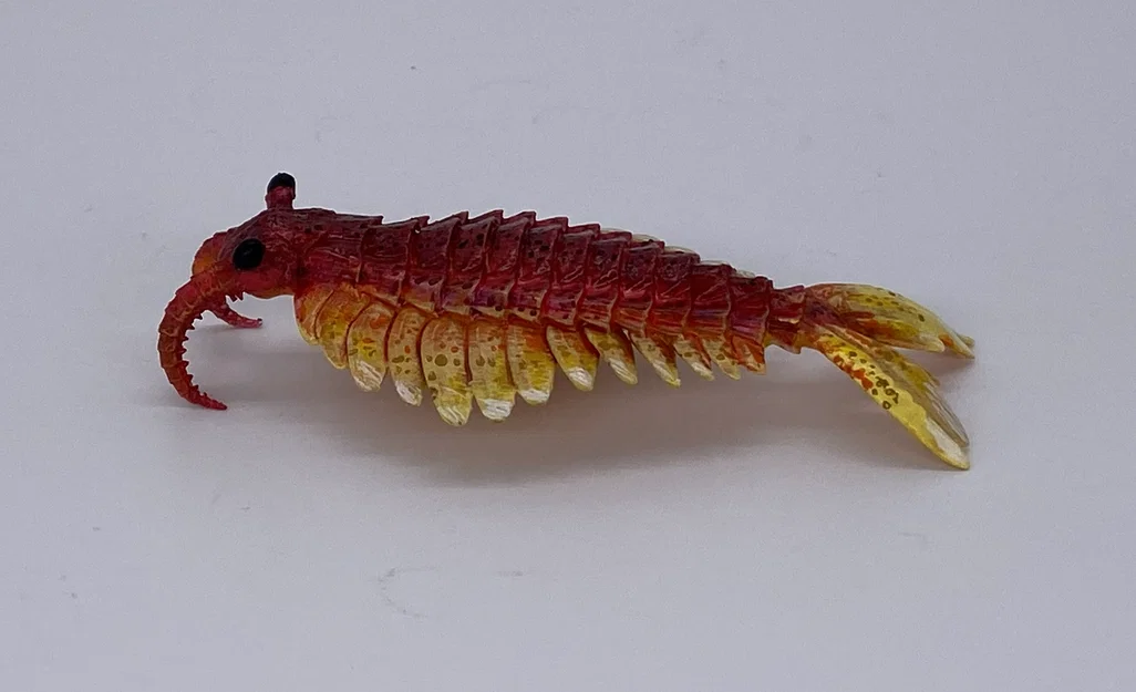 Tượng Anomalocaris (Anomalocaris sculpture) - Image 7