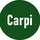 Carpi
