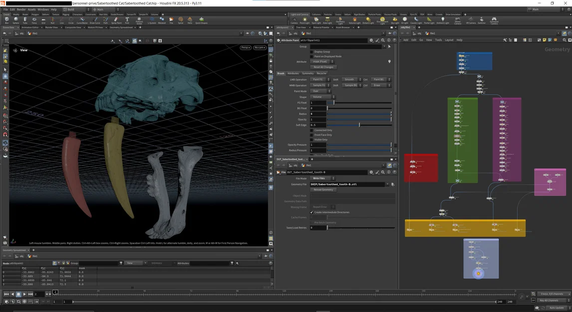Mô hình Hộp sọ Mèo răng kiếm (Sabertoothed Cat Skull) - Image 4