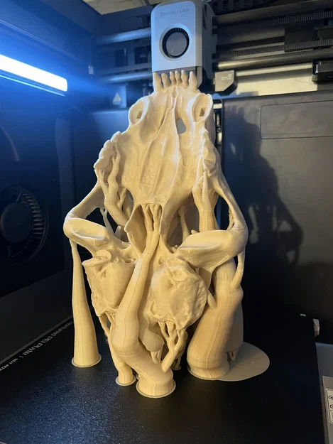 Mô hình Hộp sọ Mèo răng kiếm (Sabertoothed Cat Skull) - Image 5