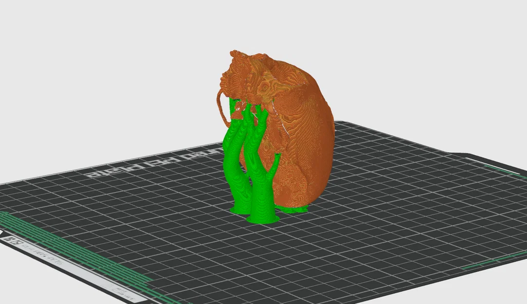 Hộp sọ khỉ sóc (Squirrel Monkey Skull) - Image 6