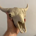 Hộp Sọ Bò Bison (Bison Skull) - Thumbnail 1